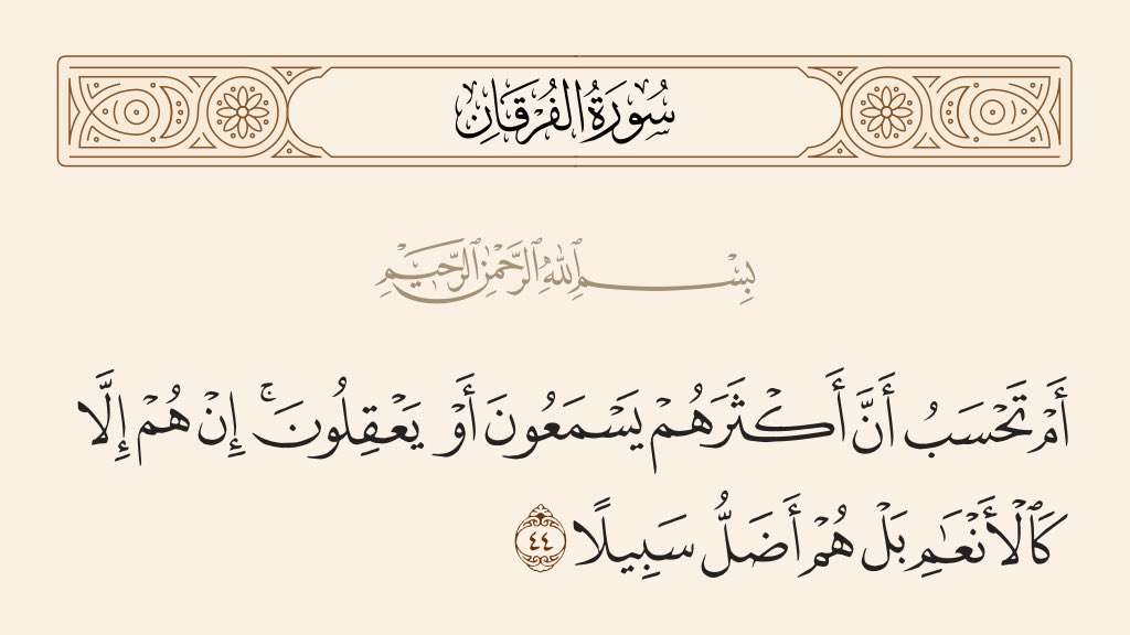 كـــوب شـــاهـــي❤️ tweet media