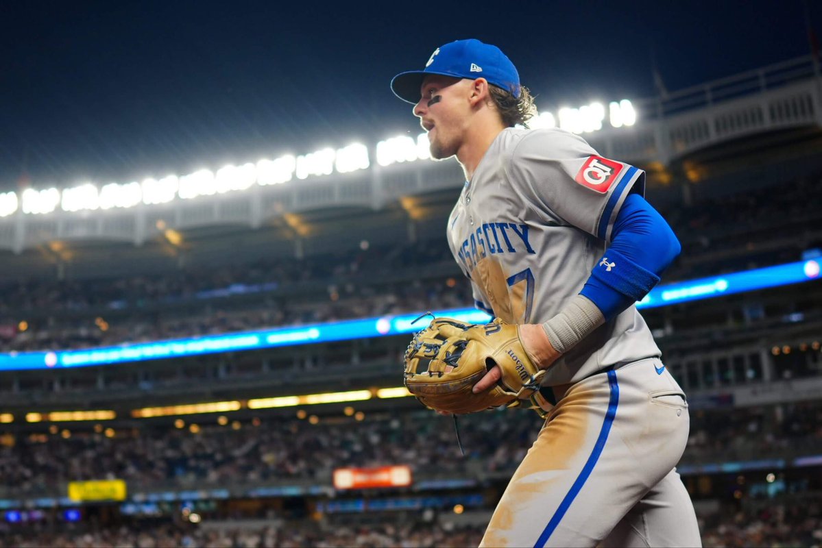 The Sharp Shark tweet media