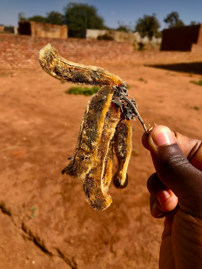 That Man From Galilee🇮🇱🇲🇼 (@mwalecyrus68040) on Twitter photo 