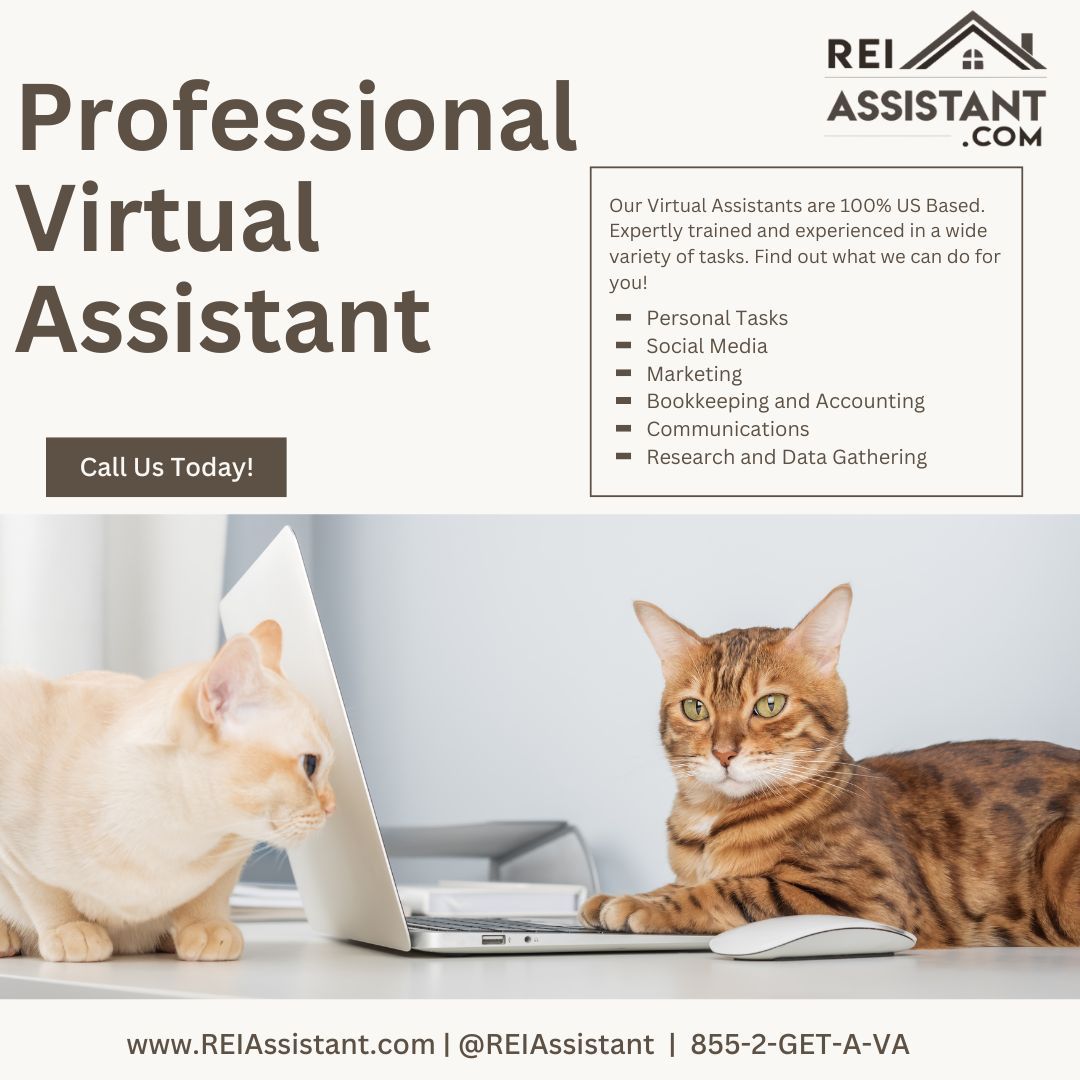 elsaoden's tweet image. #RealEstateSolutions #BoostYourBusiness #VirtualAssistant #BusinessSupport #VirtualAssistantServices #REIAssistant