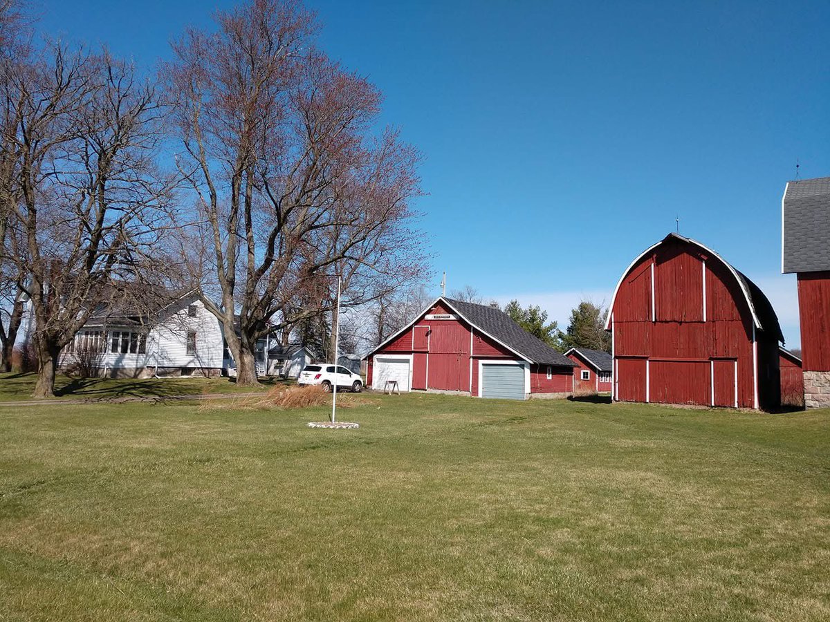 Shirley18281828's tweet photo. Farm https://t.co/TBWakP29gC