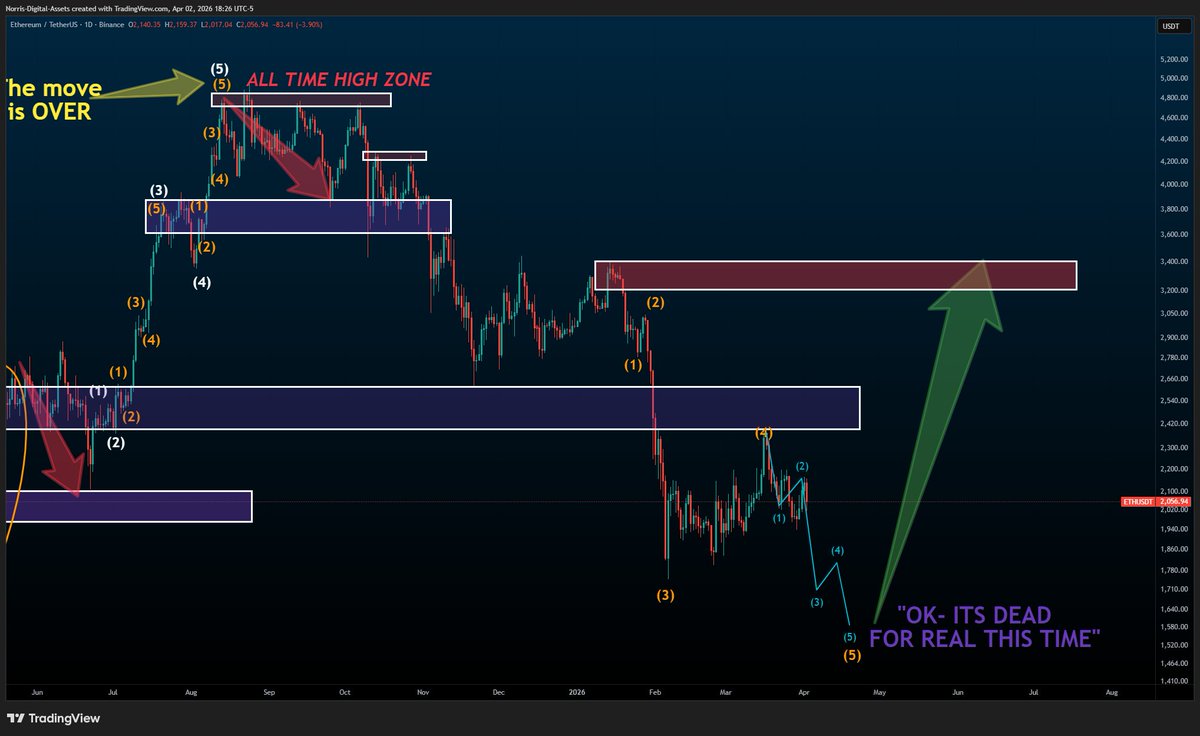 Norris Digital Assets ⚡️ tweet media