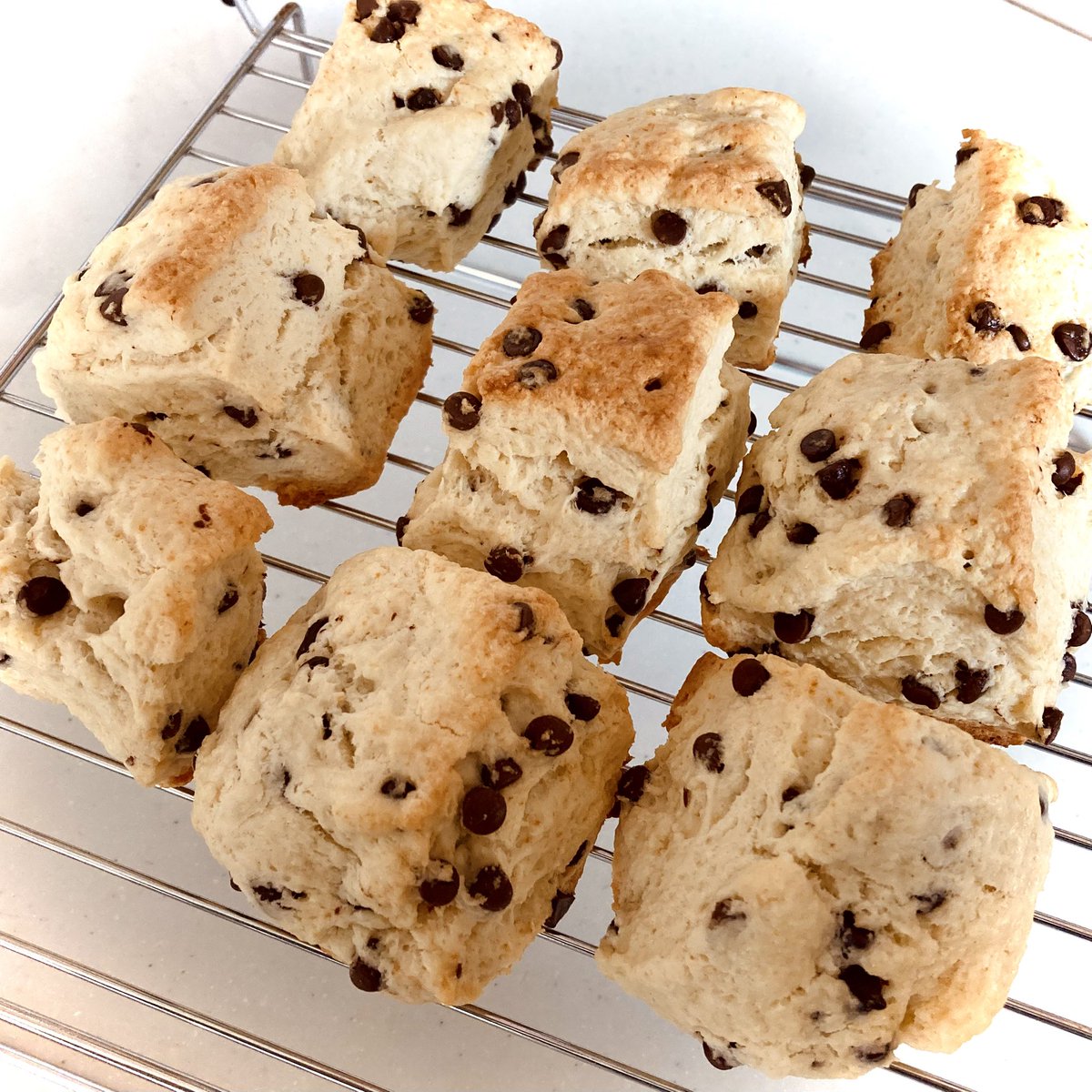 ももせー tweet media