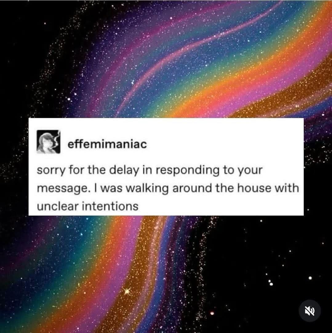 No Nonsense Neurodivergent tweet media