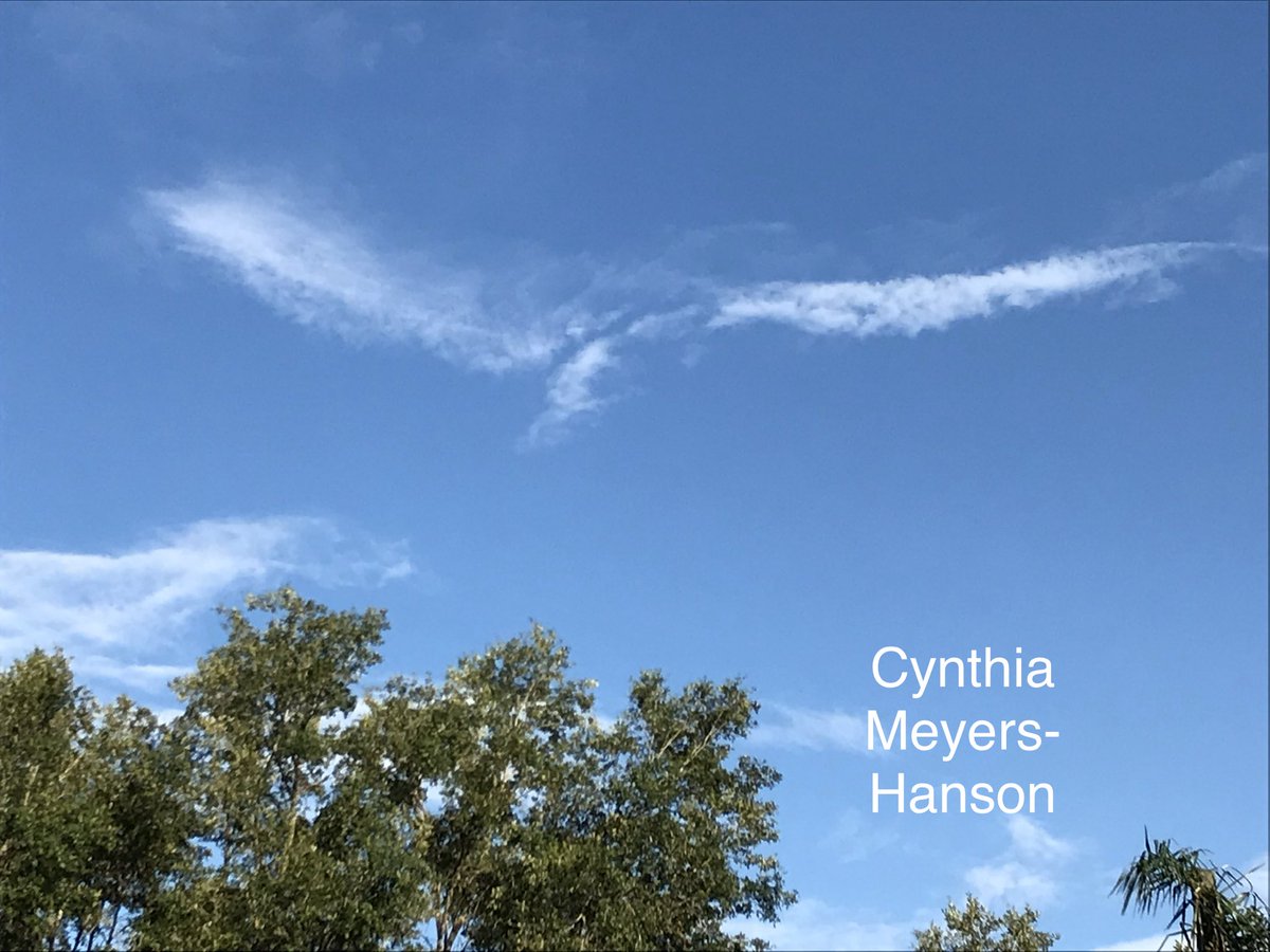 Sky-Princess-Cindy tweet media