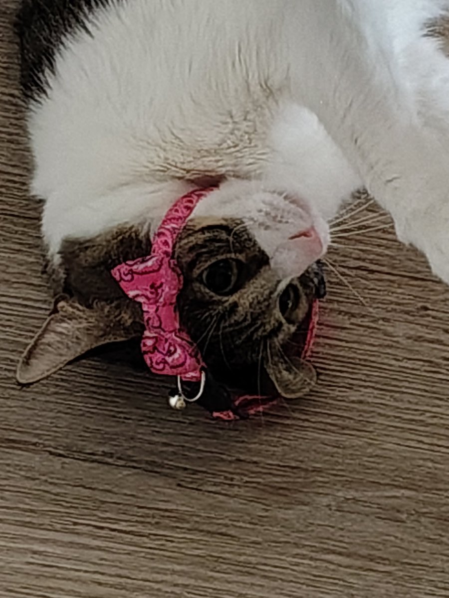 Marche 🫪 tweet media