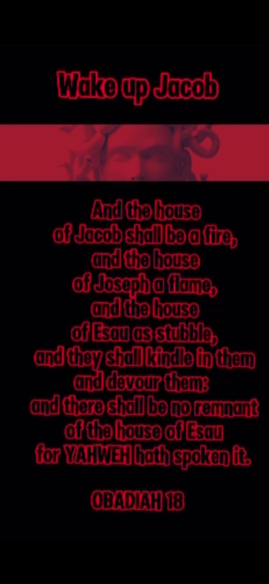 ✠ ᵀʰᵉ ⁼⁼ ᴺᵃʳʳᵒʷ ⁼⁼ ᵂᵃʸ ✠ tweet media