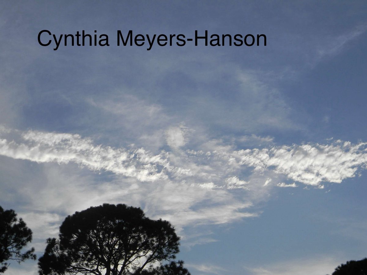 Sky-Princess-Cindy tweet media