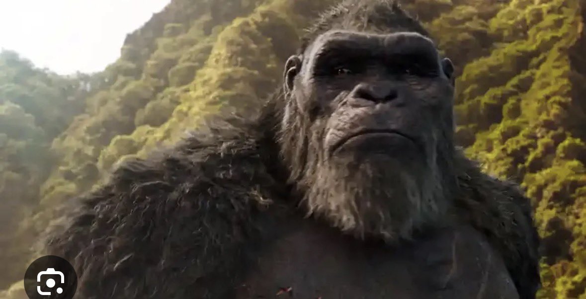 Deplorable45_47 tweet media