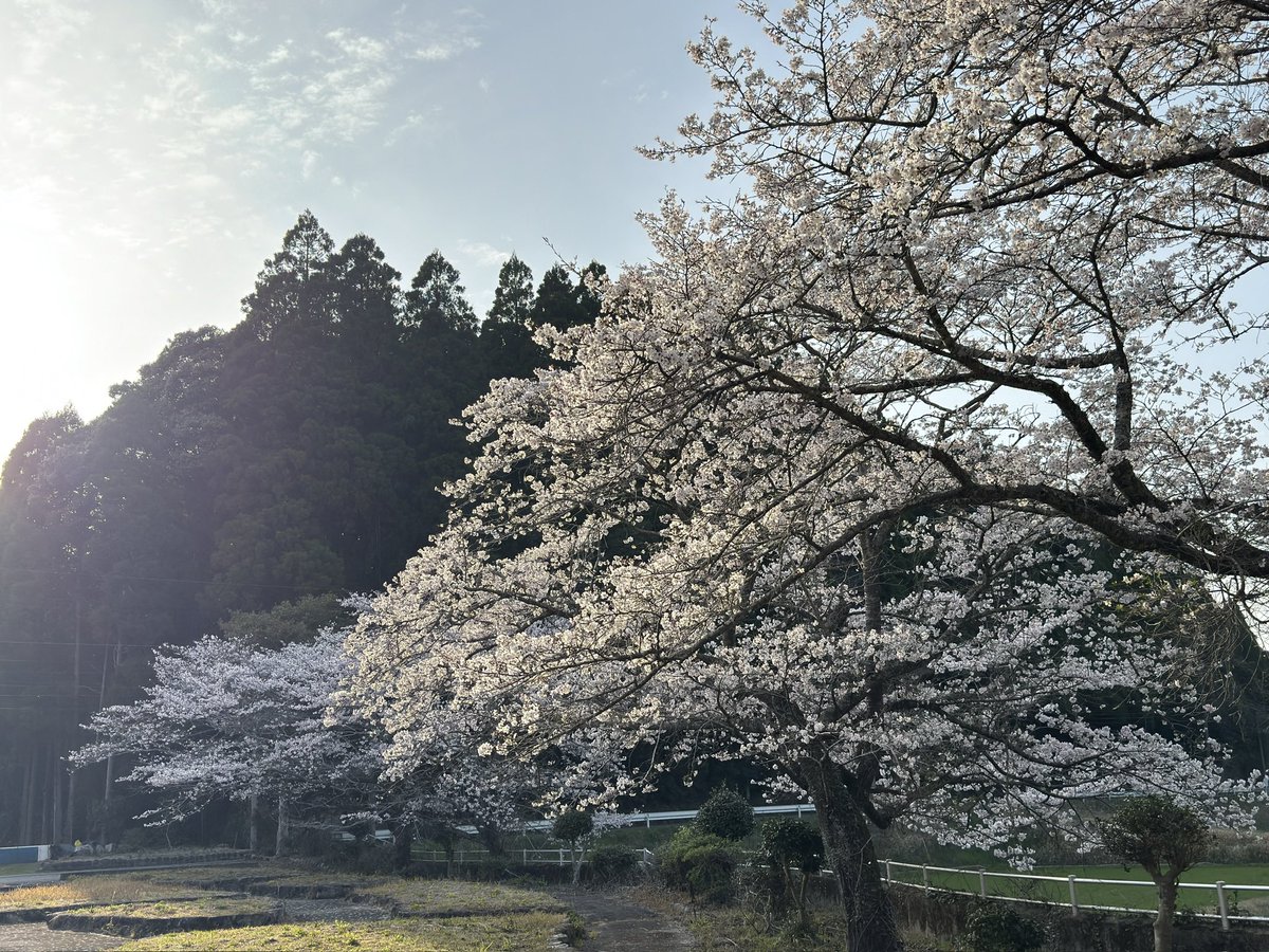 5inkyo(御隠居) tweet media