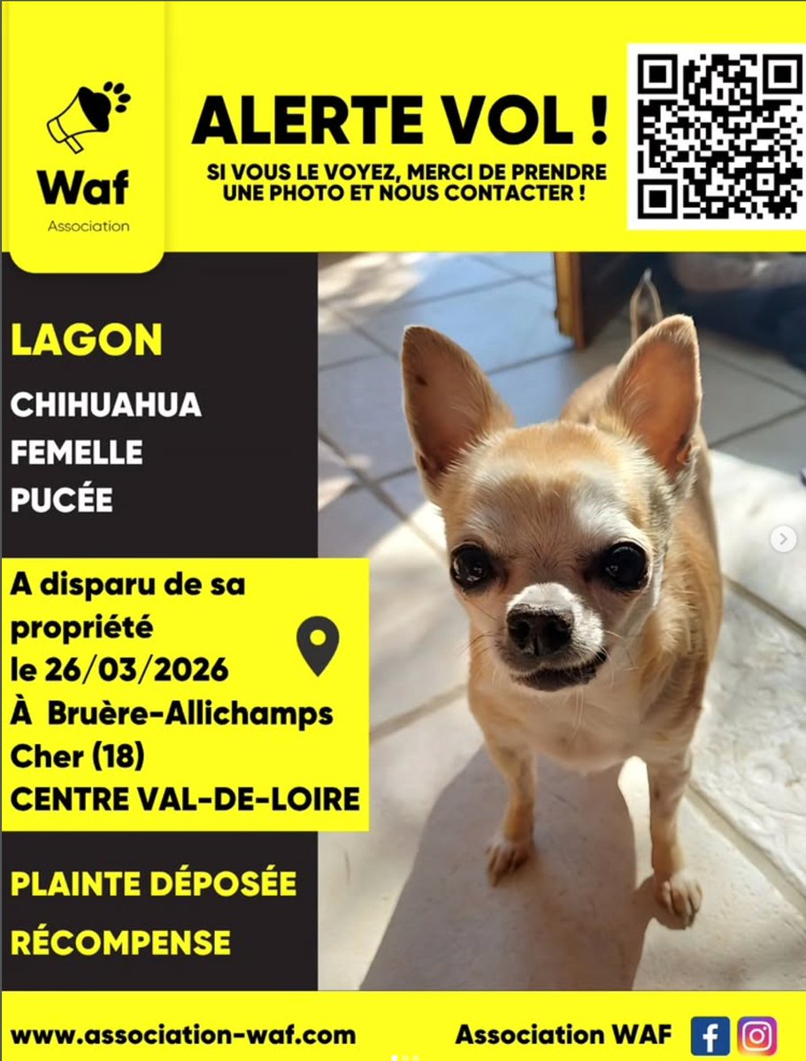 ATHOS YORKSHIRE tweet media