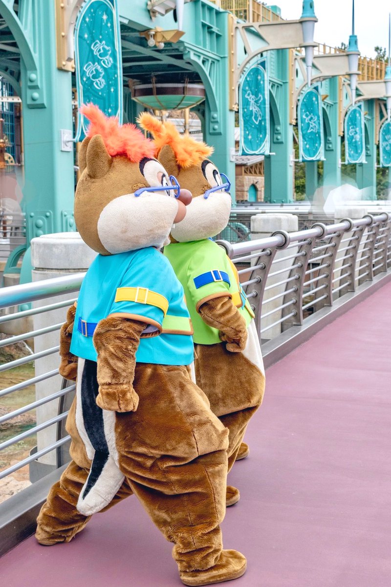 ©️🐿 tweet media