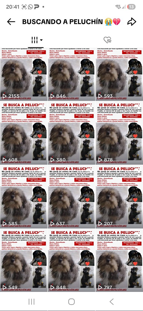 Animalitos en aprietos. tweet media