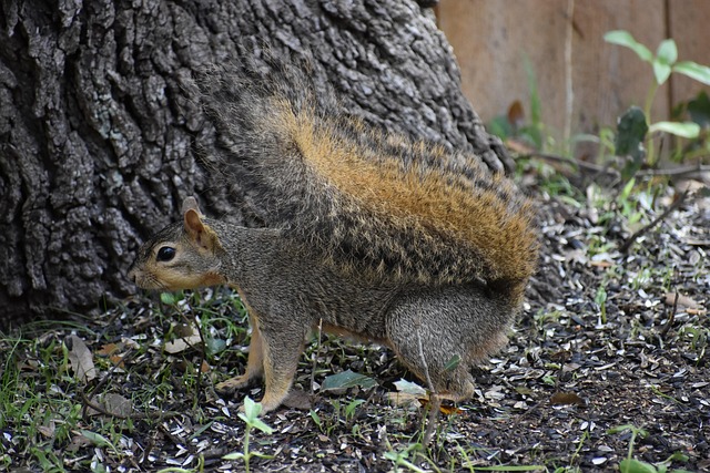 John Zielinski tweet media