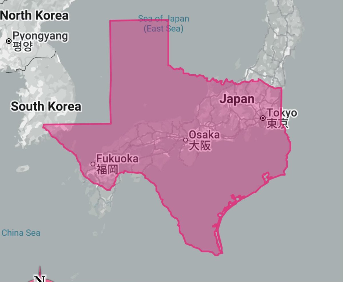 あひるさん tweet media