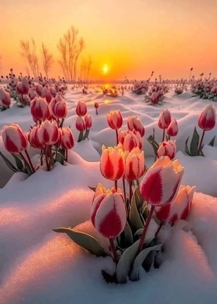 Ганаа tweet media