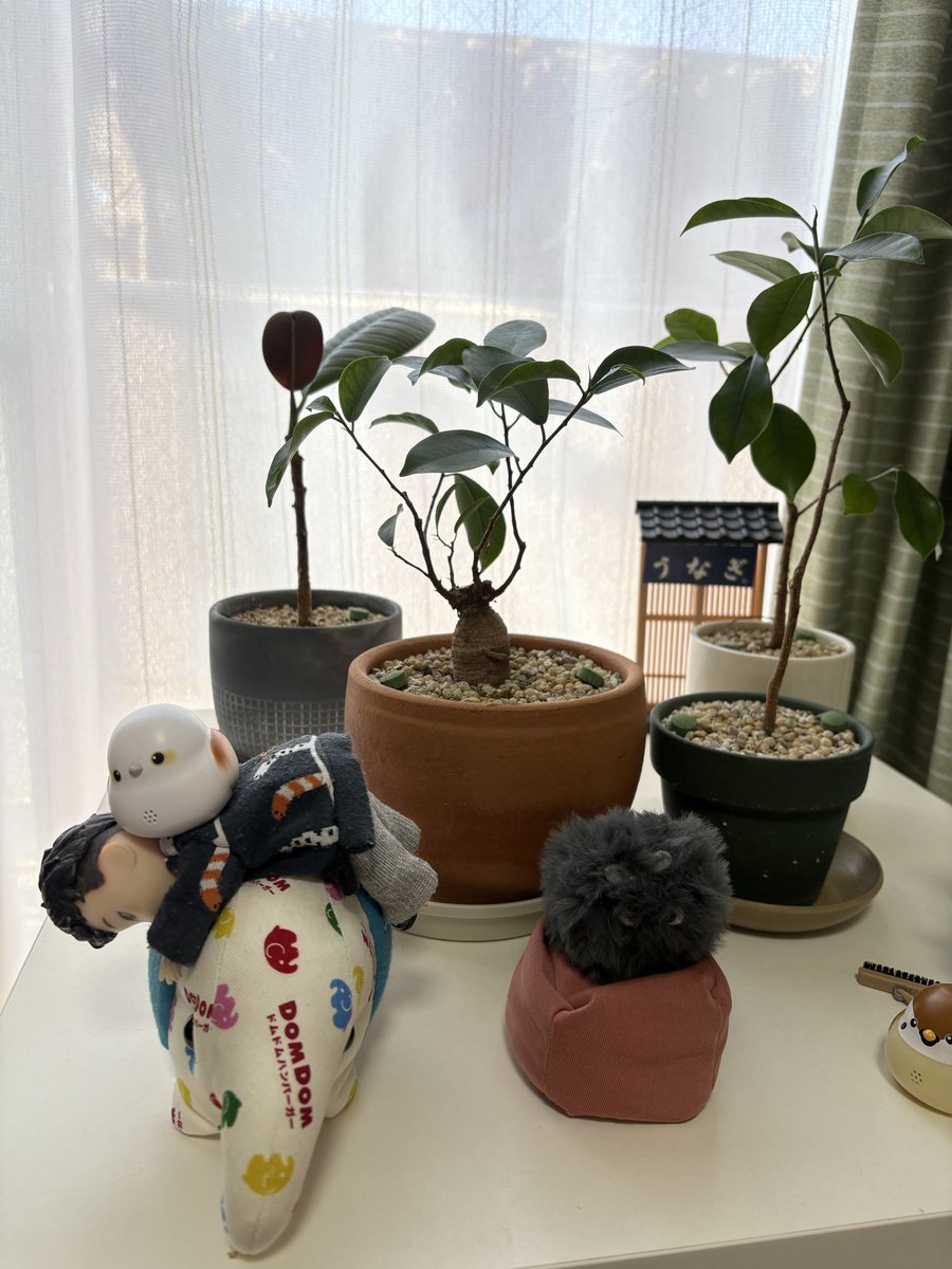 キイロ (⌯`〰︎︎´⌯) tweet media