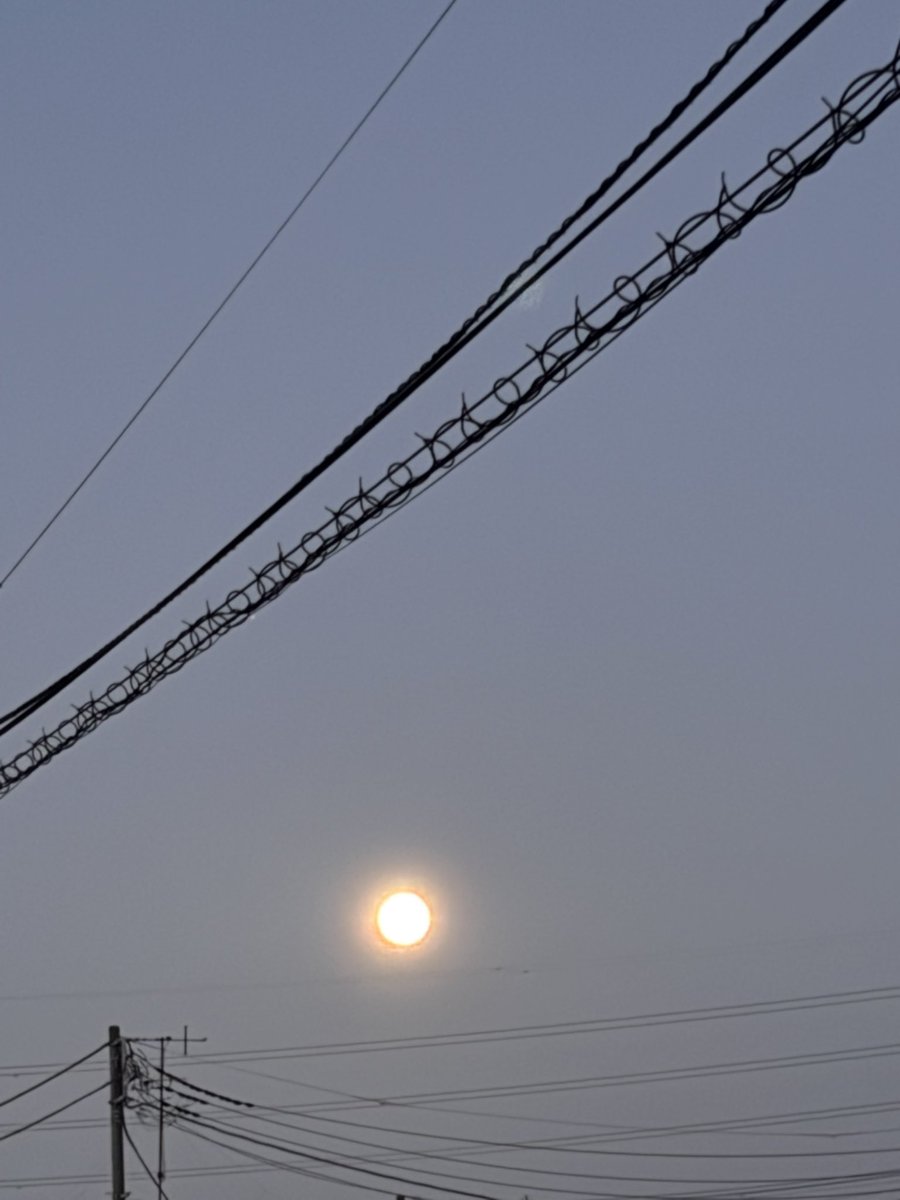 🌺親方🐴 tweet media