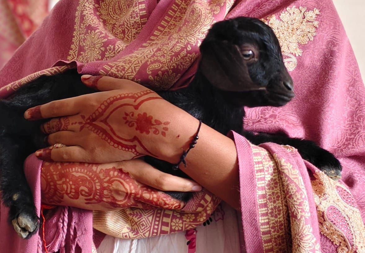 macron hate account (@arabyukako) on Twitter photo 