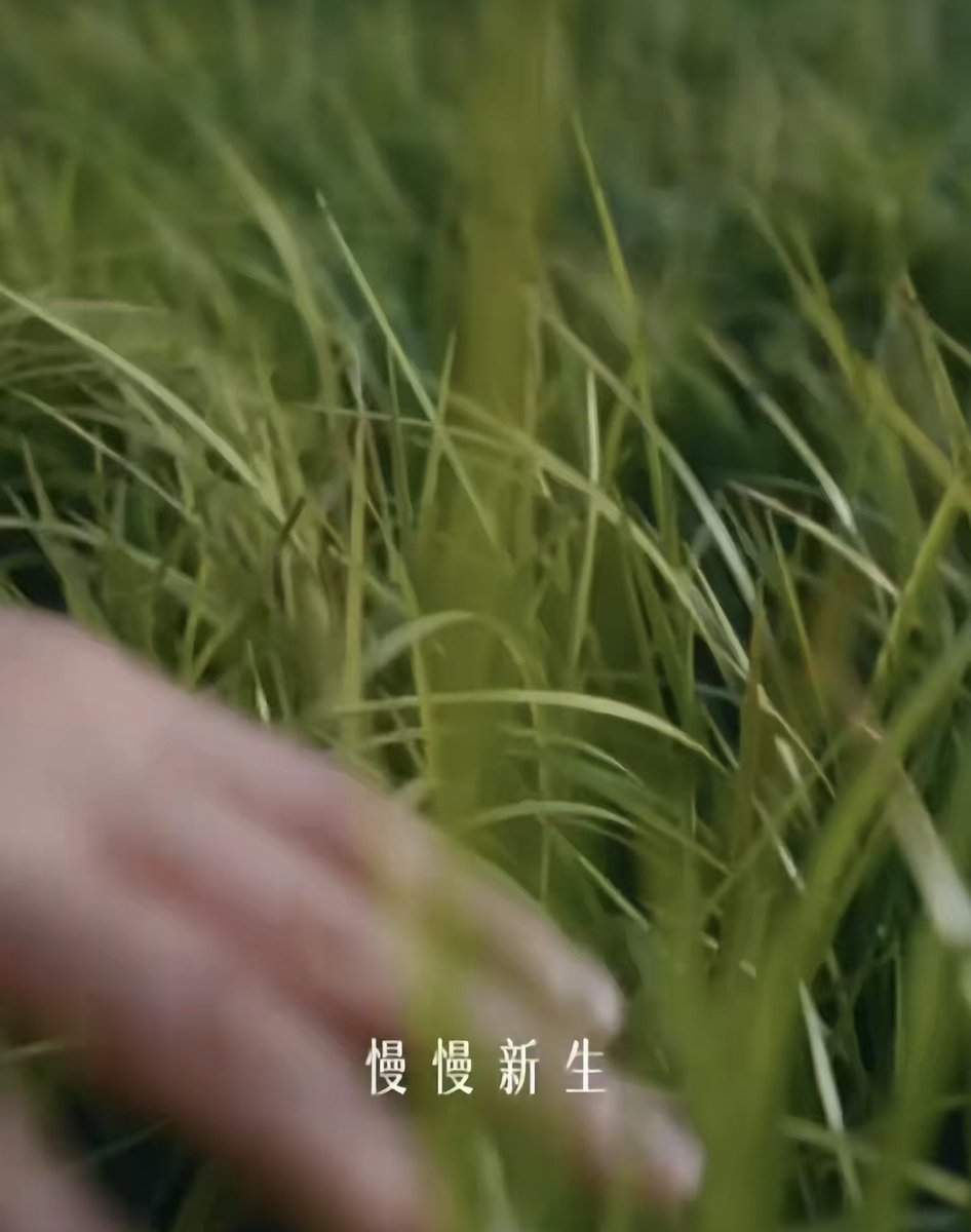 Blur The Line tweet media