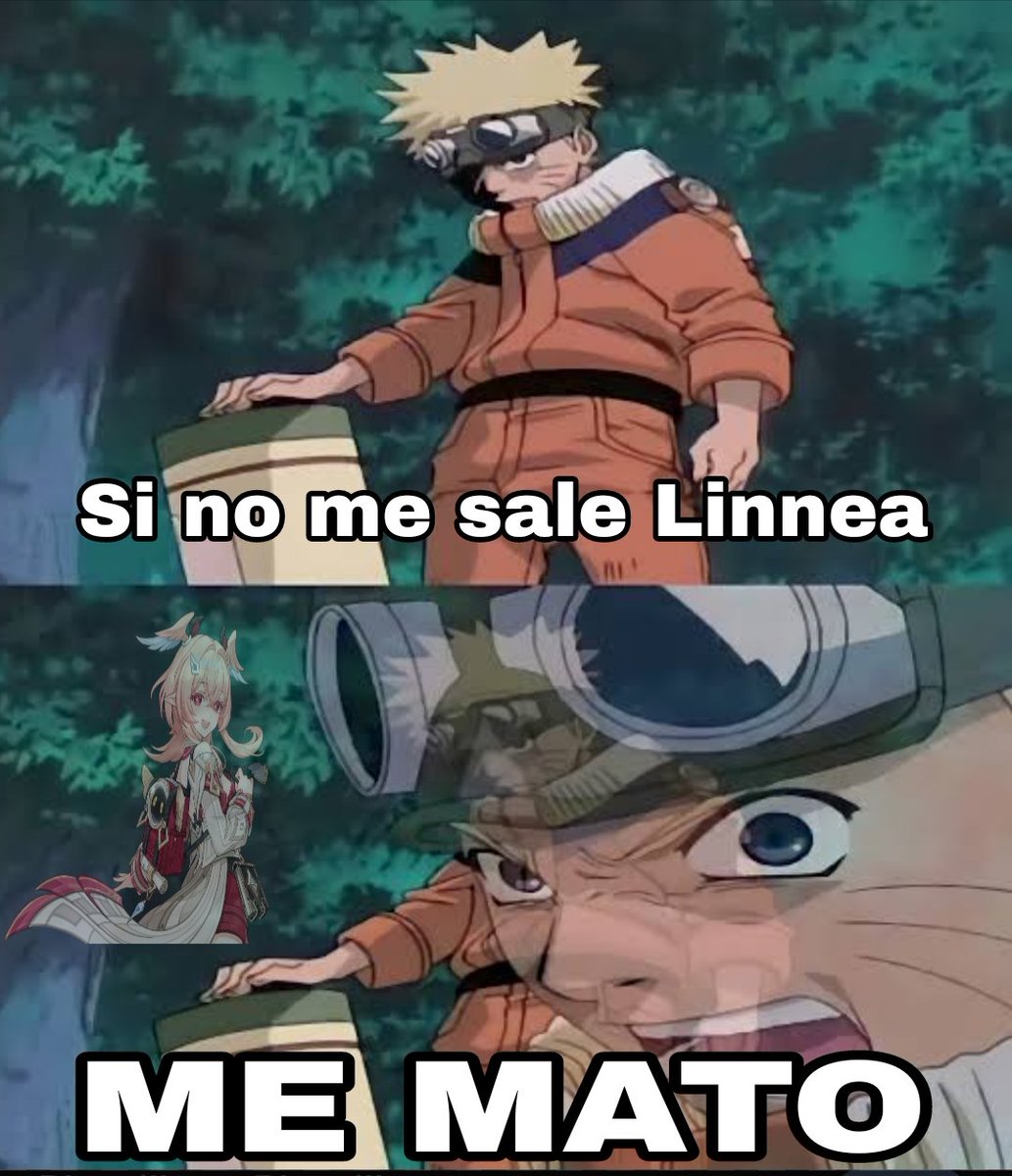 TashiVT (@tashivt) on Twitter photo 