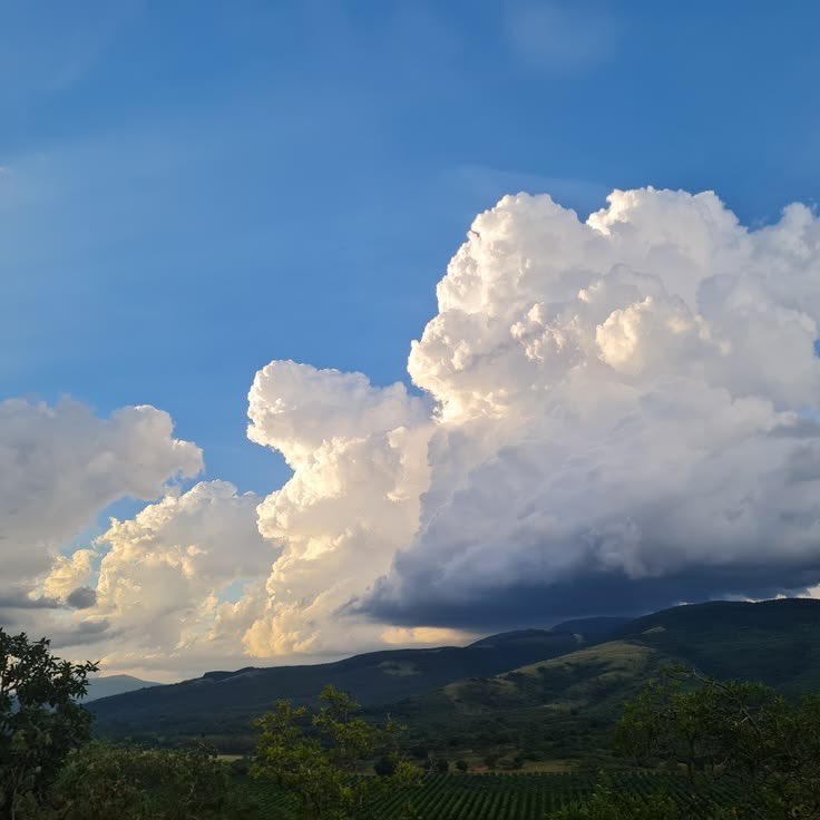 𓆝 𓆟 𓆞 tweet media