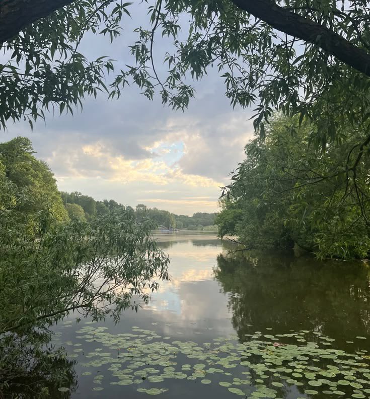 𓆝 𓆟 𓆞 tweet media