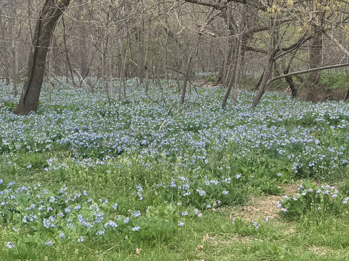 faith⋆｡𖦹 tweet media