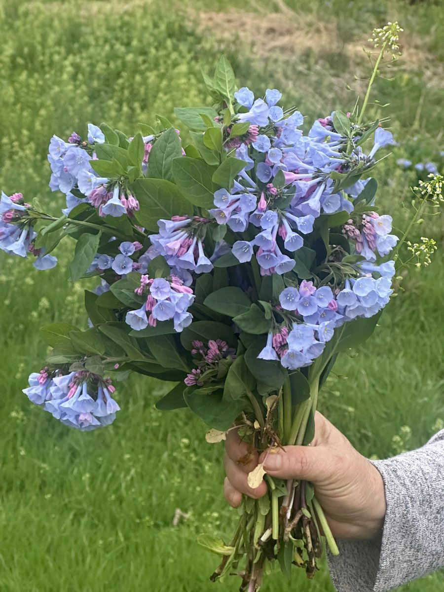 faith⋆｡𖦹 tweet media