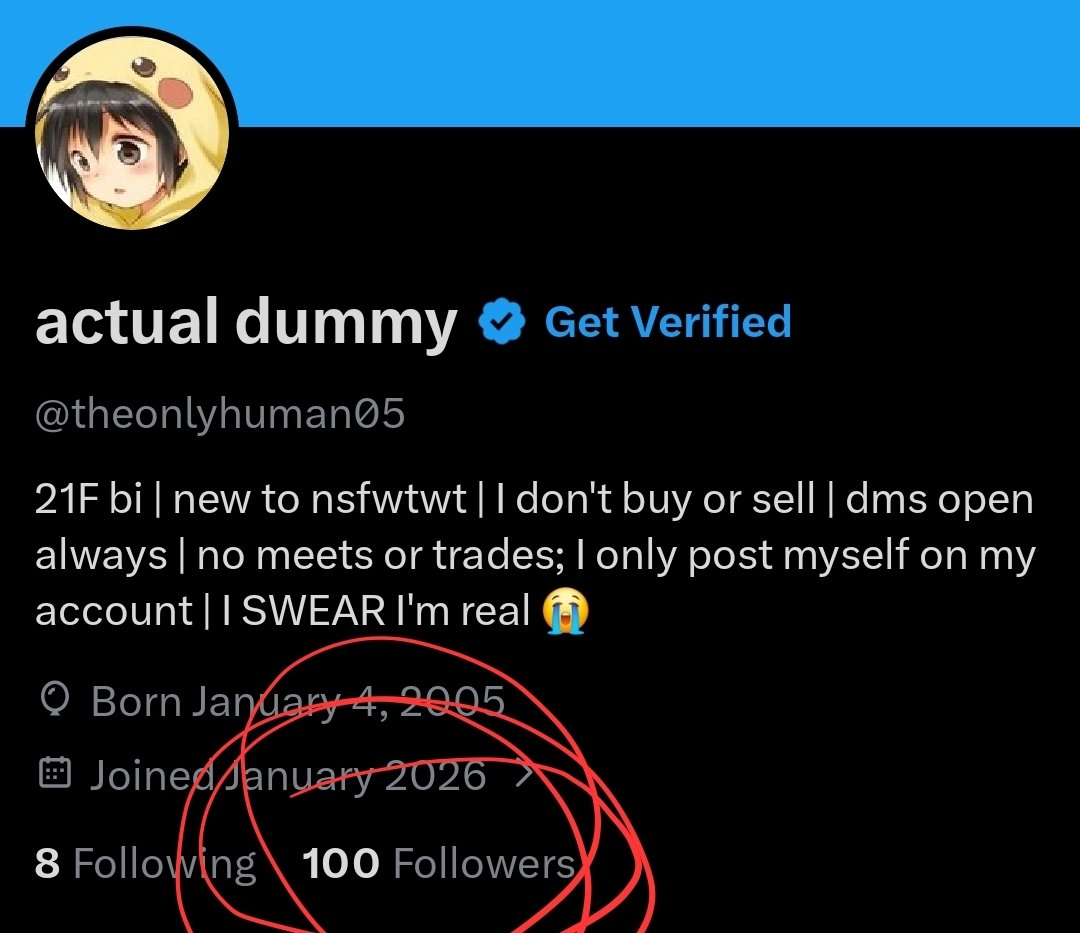 actual dummy tweet media