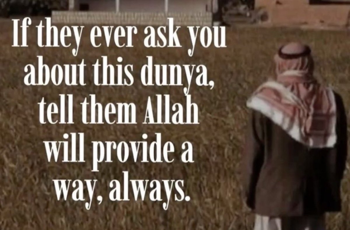 Window Shopper 911 tweet media