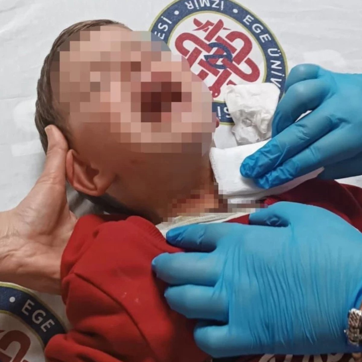 izmirgibiyiz 🇹🇷 tweet media