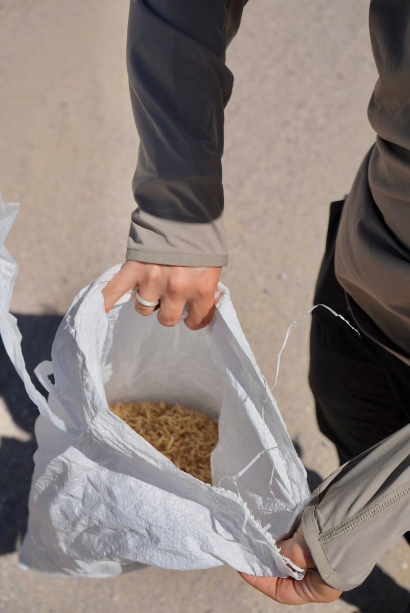 Great Basin Institute tweet media