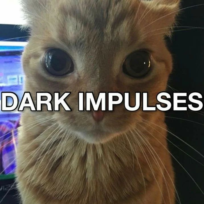 Punch Cat tweet media