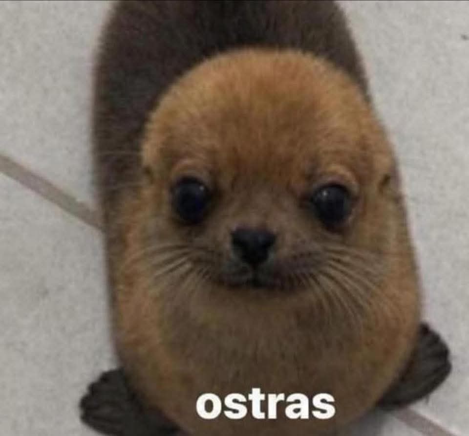 AlejoMenra's tweet photo. @MiaSkylar Oye @MiaSkylar con eso no!!! 
Si quieres burlate de Jesús incluso, yo me reiré,  pero sabes cuánto he esperado para que le tumben el canal de una buena vez?? 
Hoy mi heroína ha caído https://t.co/VDRbZmDzyF