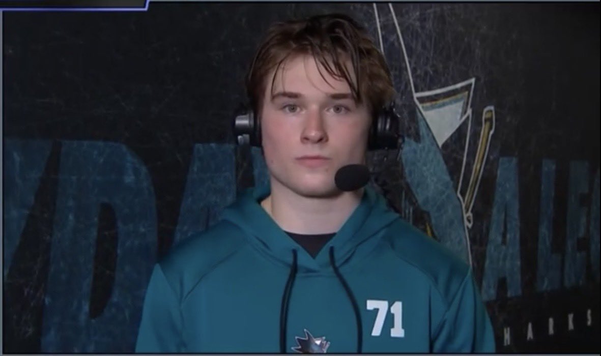 Cody🐾🦈 tweet media