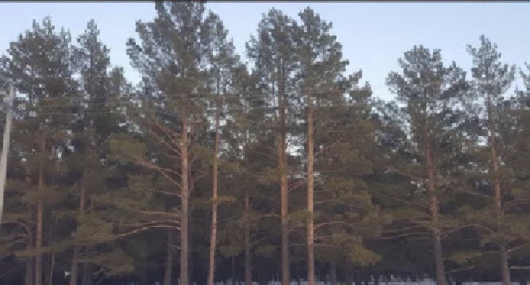 Анхбаяр tweet media