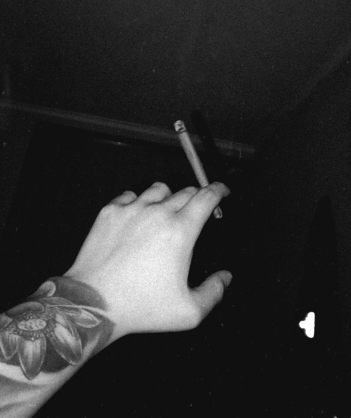 ander ✦ tweet media