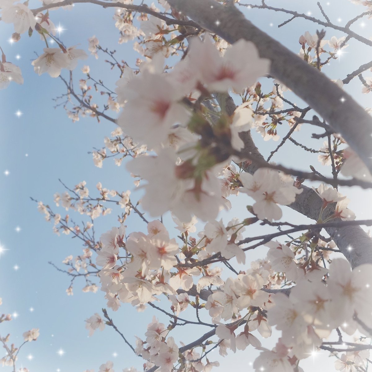 ななせりあむ@推し事応援 tweet media