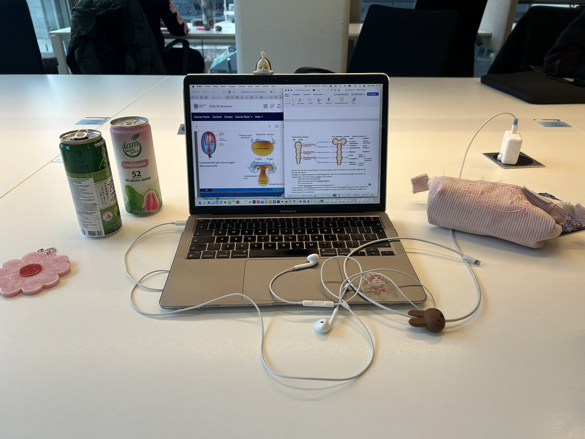 ela 🍀 tweet media