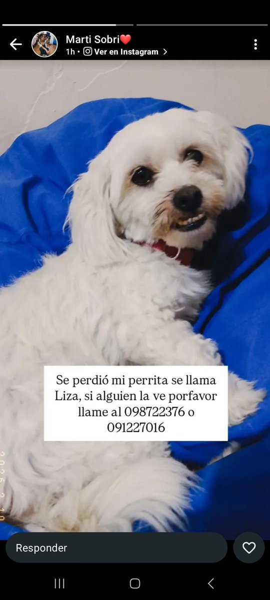 Lady Dayana 🇺🇾🇪🇸 tweet media