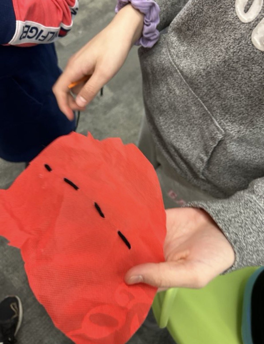 Alex Stefanoff tweet media