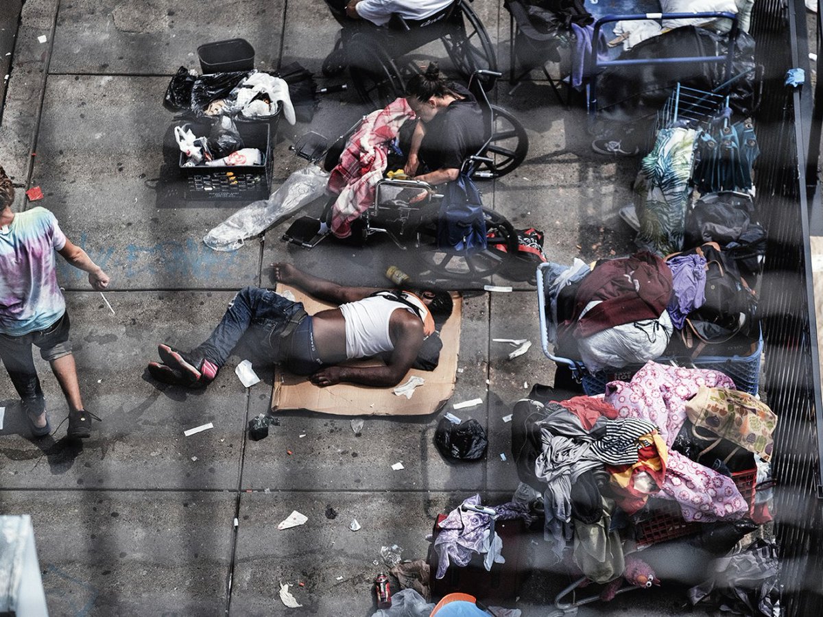 CapivaraAtivista tweet media