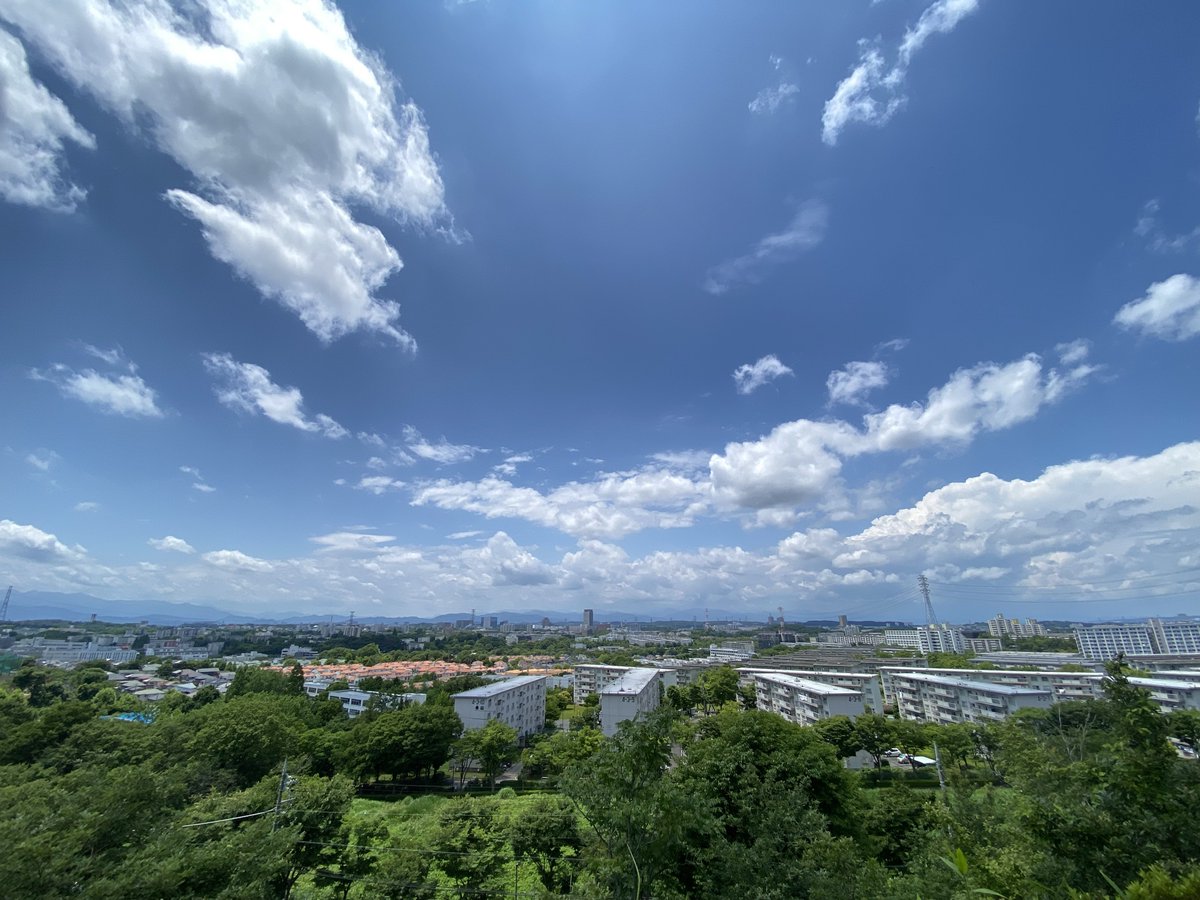 団地グルメ tweet media