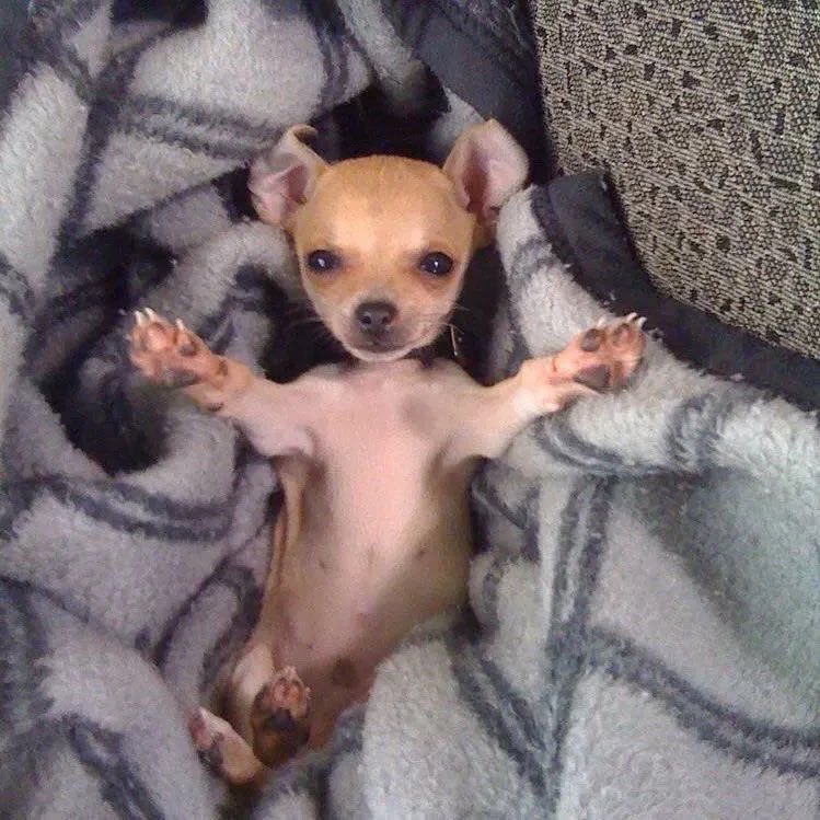 수찬이 tweet media