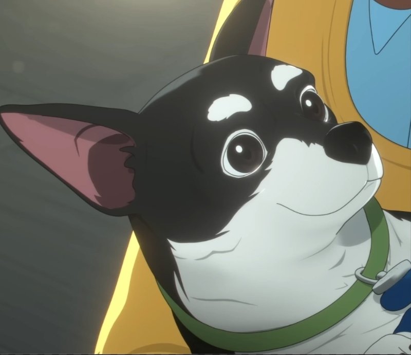 AereoPuro15's tweet image. DISPATCHTOOZ