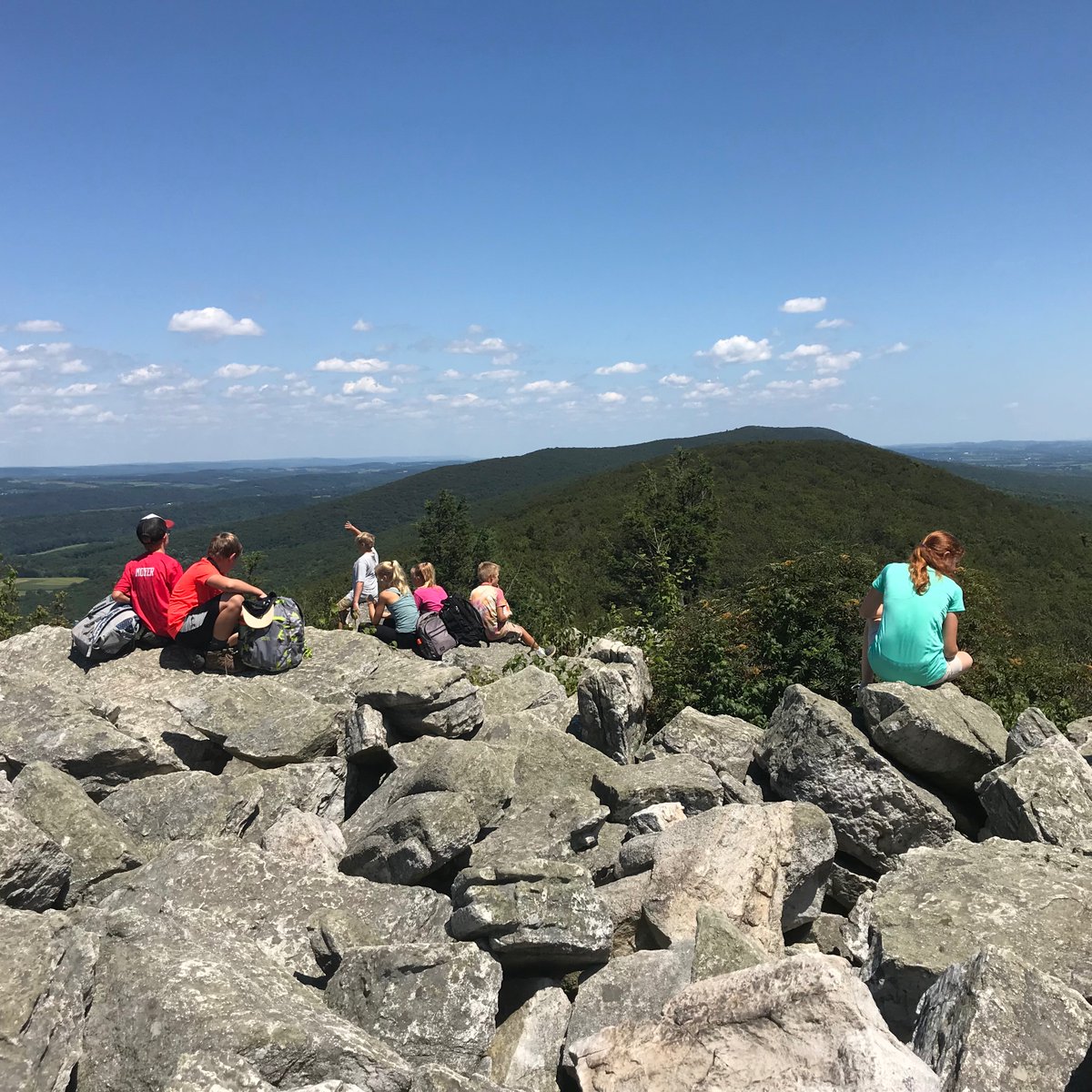 Hawk Mountain tweet media