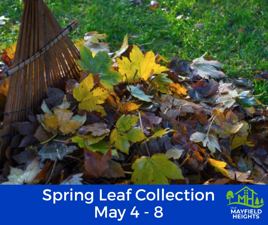 Spring Leaf Collection Notice: The Service Department will conduct a citywide leaf pickup from May 4 through May 8. Crews will collect leaves placed on the tree lawn during this time.

Please note, this is the only scheduled leaf collection for the spring season.