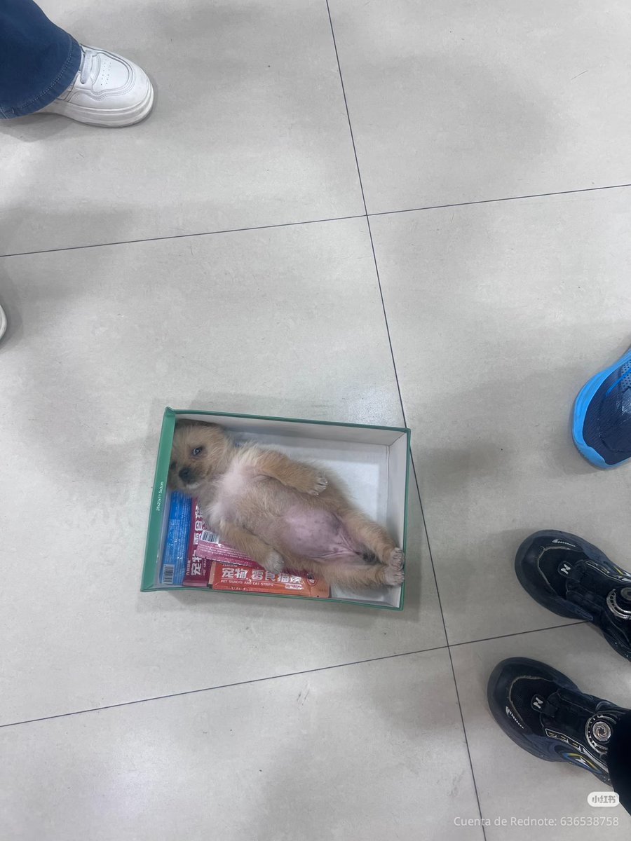 daily post tweet media