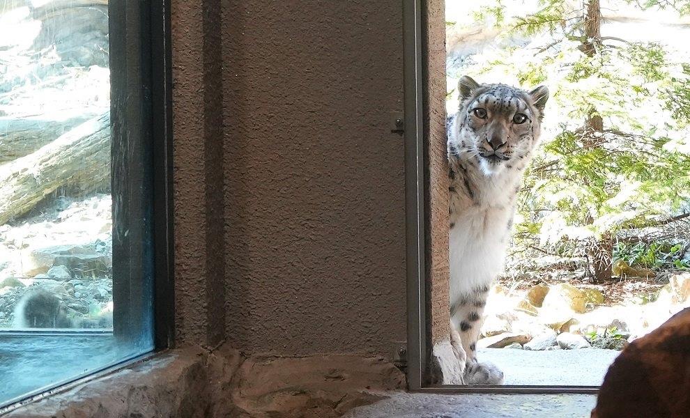 七絵♡ʕ•ᴥ•ʔ🐼 tweet media